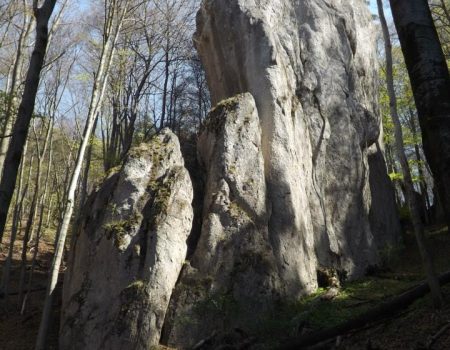 Súľovské skaly reliéf