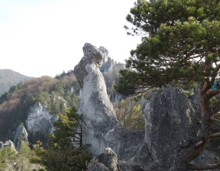 Súľovské skaly skala