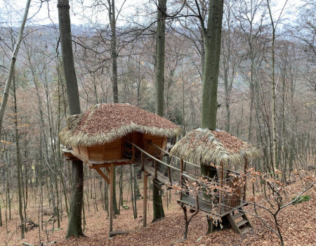 dom na strome treehouse ubytovanie na strome trenčianske teplice les