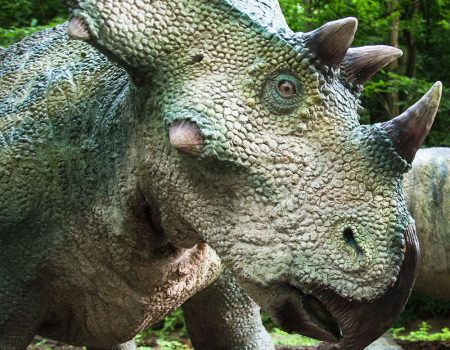 DinoPark Košice dinosuarus
