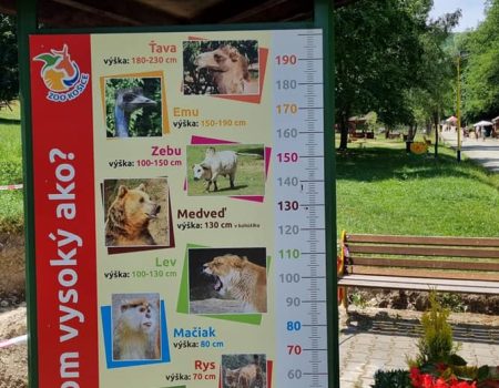 Zoo Košice v lete