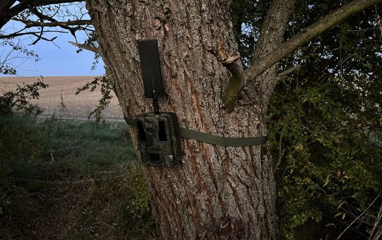 Welltar 7310 4G pripevnenie na strom
