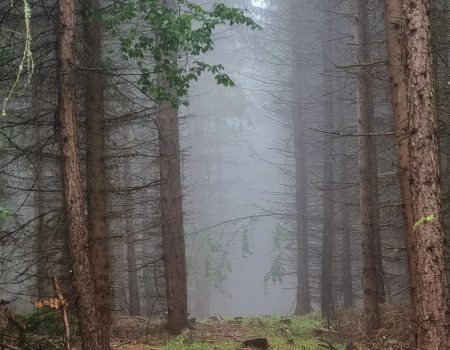 cesta SNP deň 17 les
