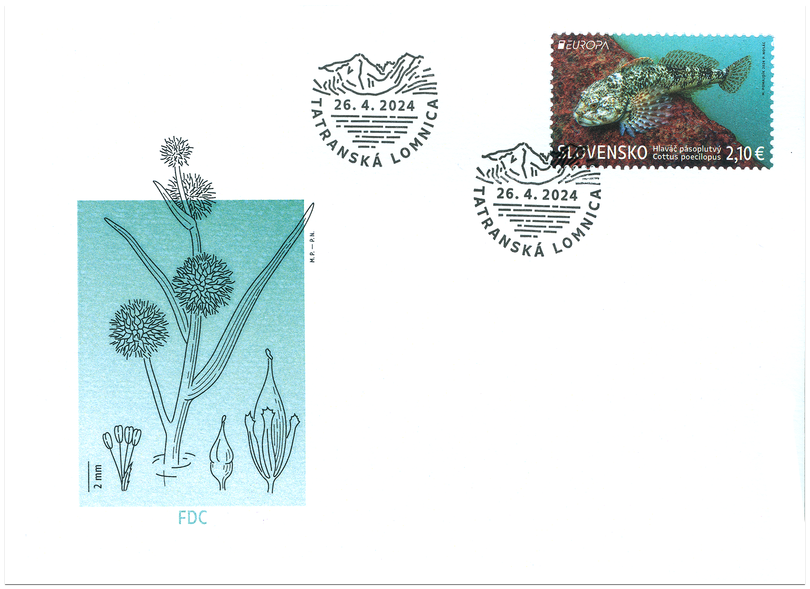 poštová známka europa 2024 - vysoké tatry Hlaváč pásoplutvý v hodnote 2,1€