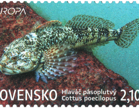 Poštová známka EUROPA 2024 – Fauna a flóra tatranských plies