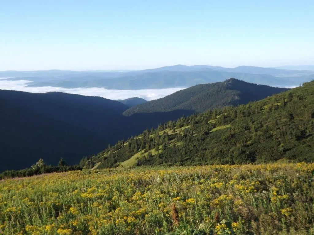 Národný park Nízke Tatry v lete