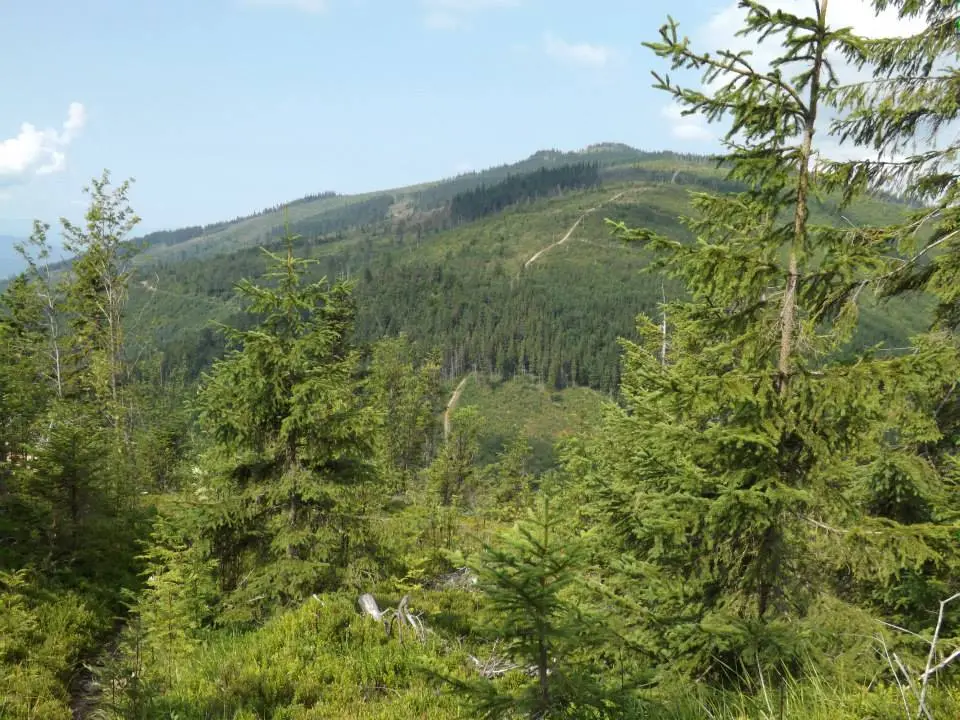 Národný park Nízke Tatry výhľad