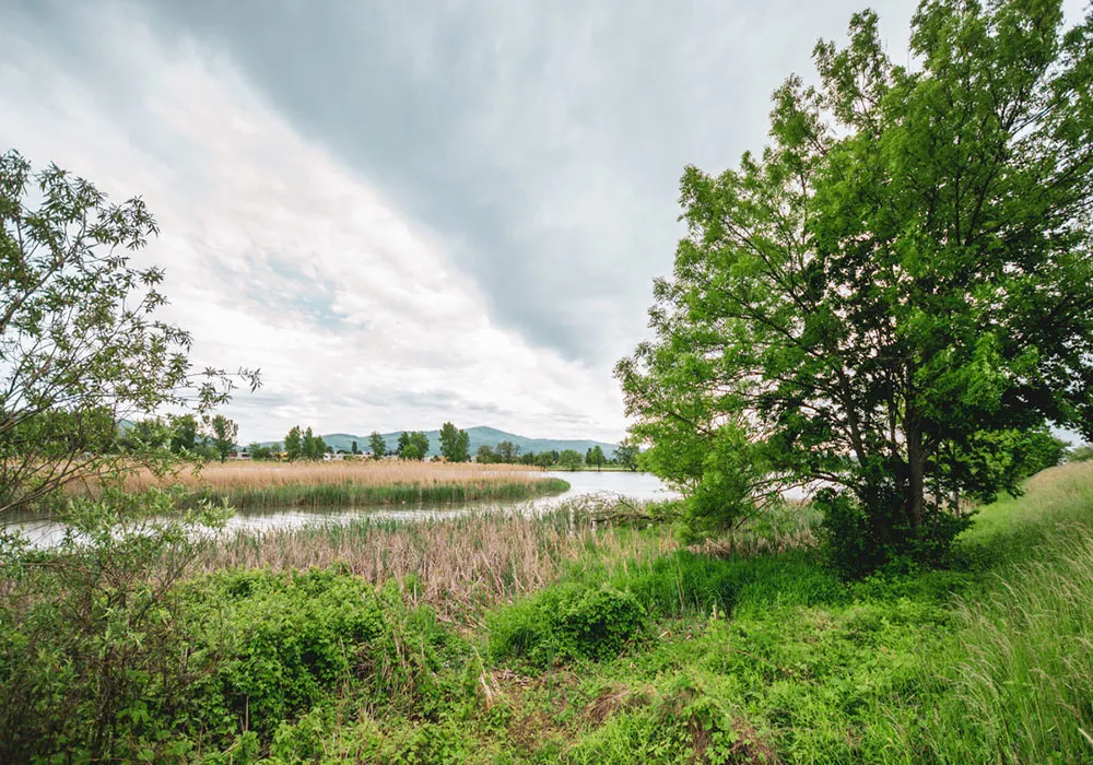 Trenčiansky luh panoráma