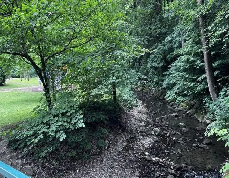 Park Trenčianske Teplice časť parku