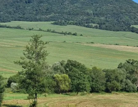 cesta SNP deň 2 príroda