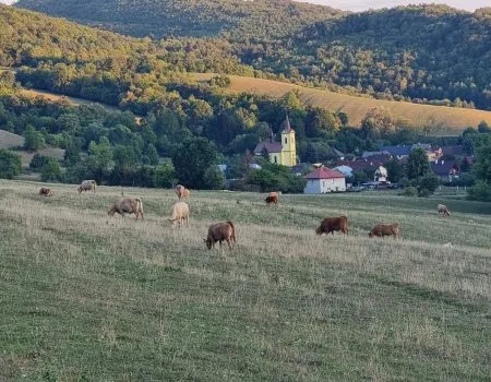 cesta SNP deň 2 v lone prírody