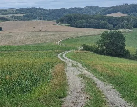 cesta SNP deň 5 príroda