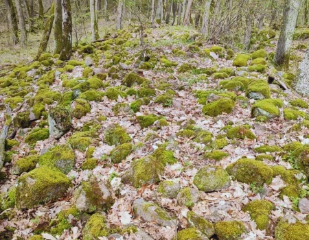 Spečený val