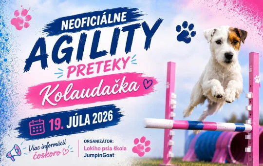 Agility preteky Kolaudačka 2026 v Pstruši prinesú neoficiálne preteky pre šteniatka, veteránov, začiatočníkov a pretekárov.