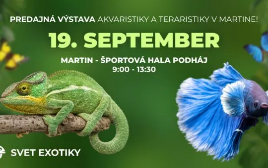 Svet Exotiky Martin 2026 prinesie predajnú výstavu akvaristiky a teraristiky s plazmi, rybami, hmyzom a chovateľskými potrebami.