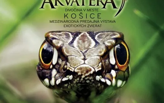 AkvaTera Košice 2026 sa uskutoční 17. mája v Spoločenskom pavilóne a prinesie predajnú výstavu akvaristických, teraristických a exotických zvierat.