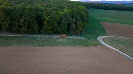 Obrovská drevená lavička na okraji lesa pri Brezolupoch s dvoma návštevníkmi sediacimi na lavičke.
