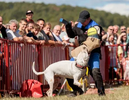 policajné ukazky - farmársky den v uhrovci