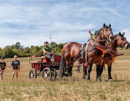 konský záprah na zazitkovu jazdu - farmársky den v uhrovci