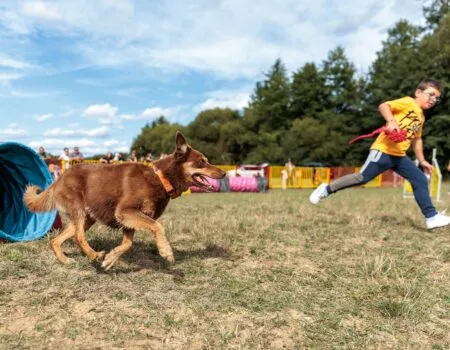 sutaze agility - farmársky den v uhrovci